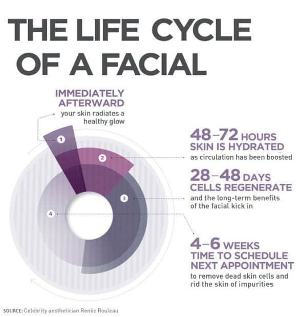 The life cycle of a facial